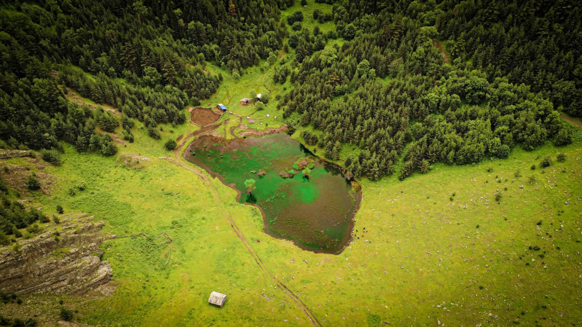 Unique Valleys of Opportunities: Tana and Tedzami Protected Landscape