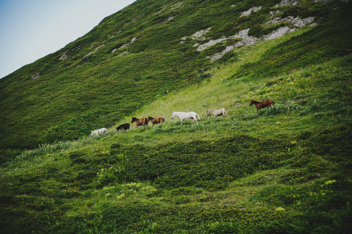 Dusheti: A New Beginning at the End of the Country Road
