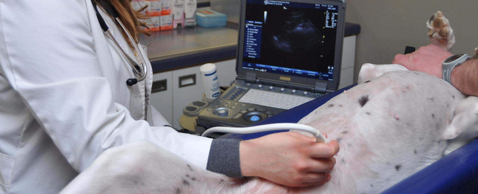 ჩვენ მზად ვართ შევებრძოლოთ იმერეთის რეგიონში ყველაზე საშიშ ინფექციებსაც კი