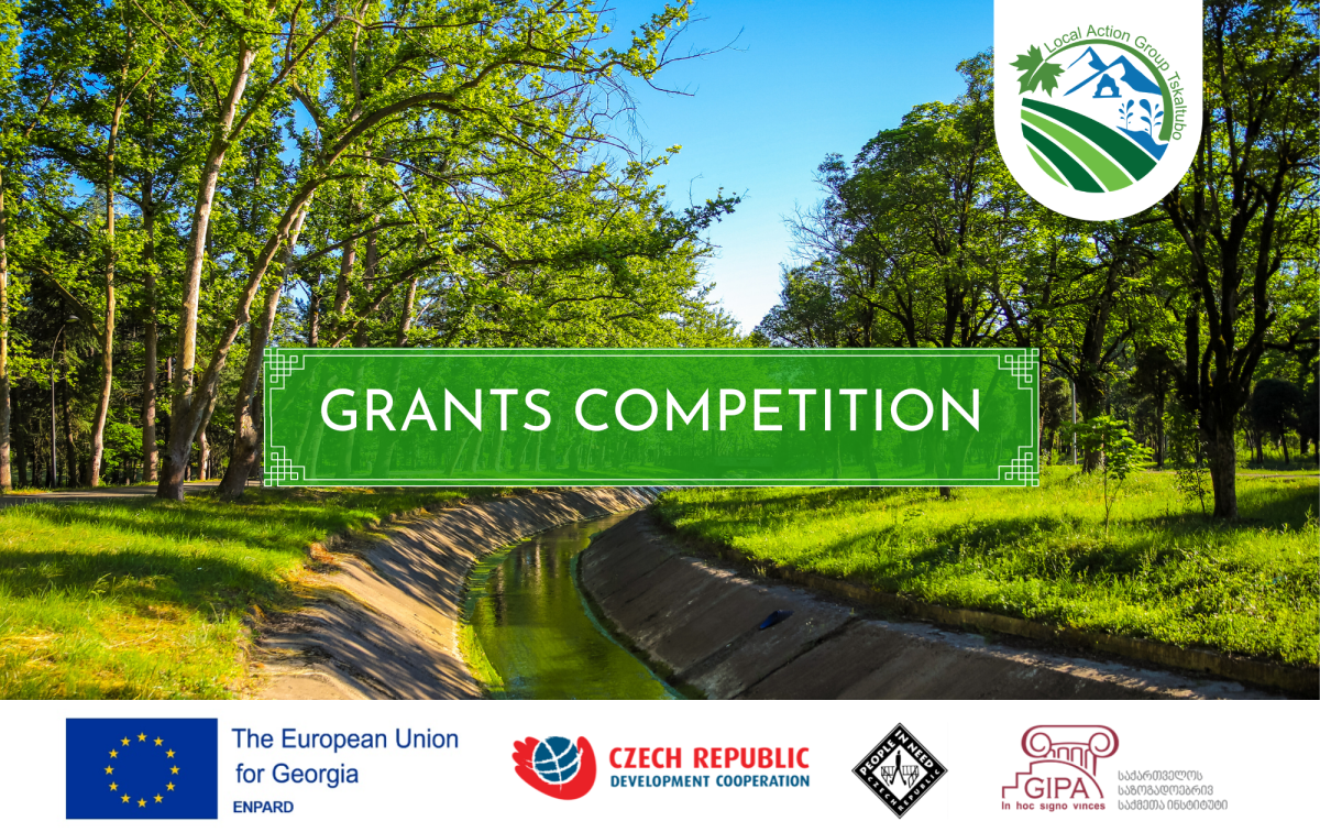 LAG Tskaltubo Grant Competition